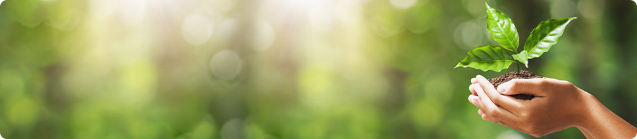 Our Sustainability Strategy and Targets | TT Investor R.